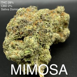 Mimosa Sativa Dominant