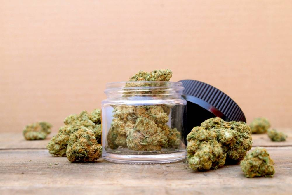 How to choose a weed delivery