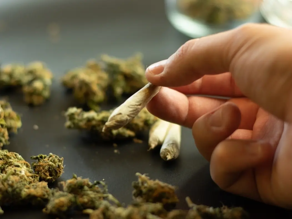 The Ultimate Cannabis Delivery Guide