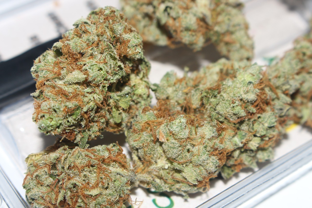 Sativa Benefits and Origins Sativa Benefits and Origins