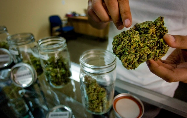 How to choose weed delivery