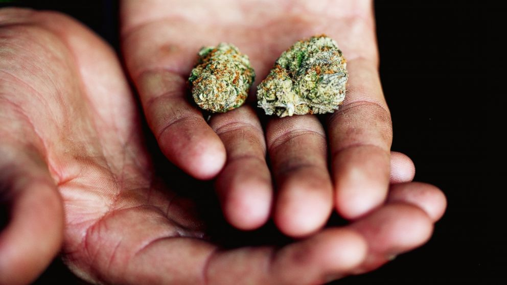 The impact of cannabis legalization in Canada The impact of cannabis legalization in Canada