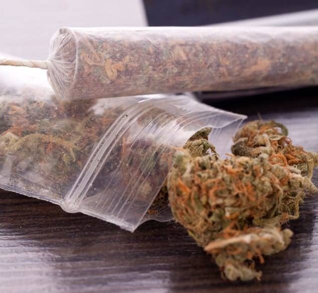 Your Guide to Marijuana Strains Your Guide to Marijuana Strains