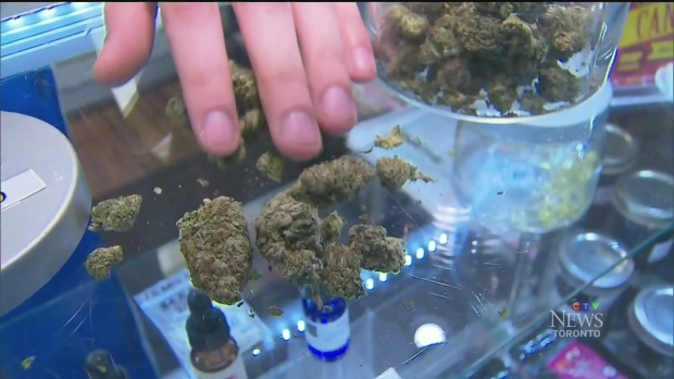 What is the point of hybrid weed? What is the point of hybrid weed?