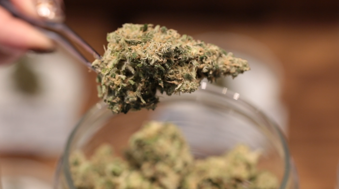 Best Cannabis Accessories Best Cannabis Accessories