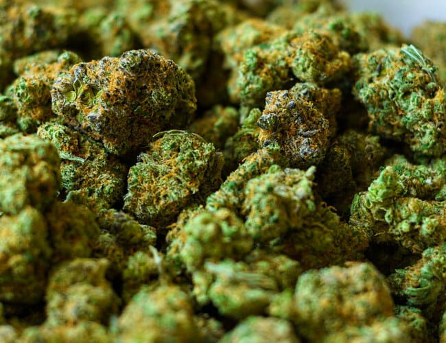 Top 5 cannabis strains to grow on a balcony Top 5 cannabis strains to grow on a balcony