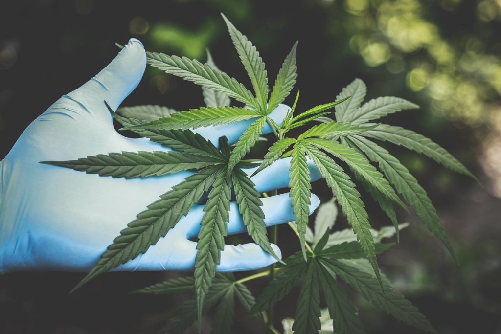 What type of concentrate is best?