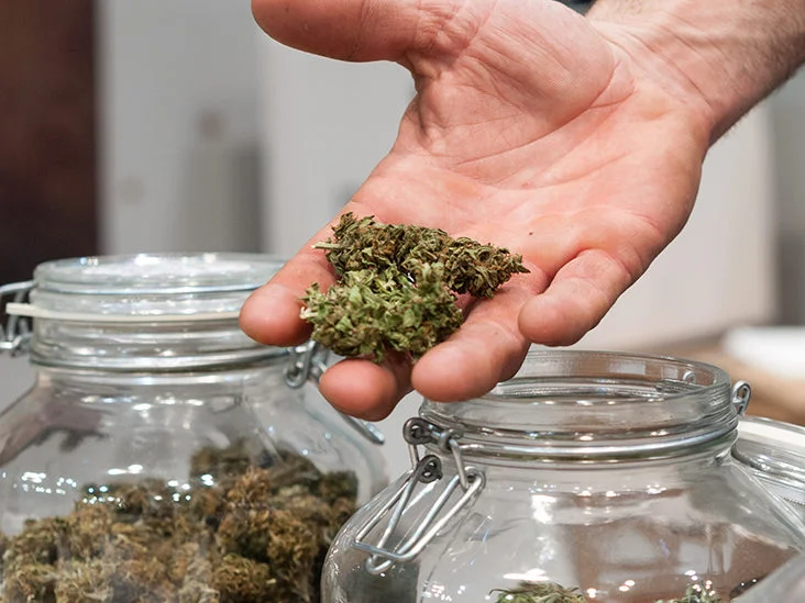 8 Factors Affecting the THC Potency of Your Cannabis